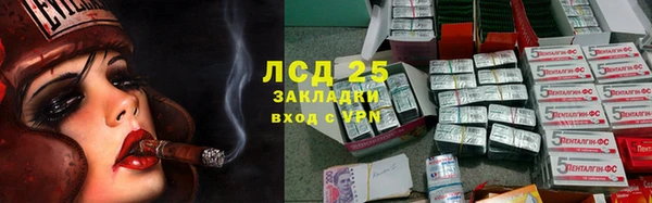 соль ск Краснослободск
