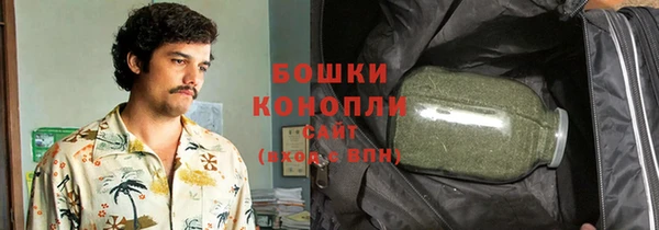 ПСИЛОЦИБИНОВЫЕ ГРИБЫ Галич