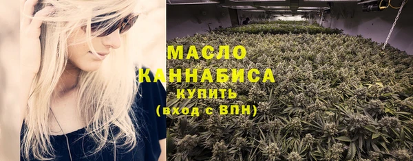 твердый Гатчина
